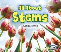 All About Stems