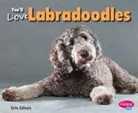 You'll Love Labradoodles (Favorite Designer Dogs)