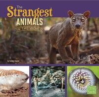 The Strangest Animals in the World (All About Animals)