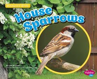 House Sparrows (Backyard Birds)