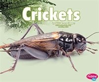 Crickets