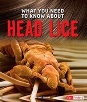 What You Need to Know about Head Lice