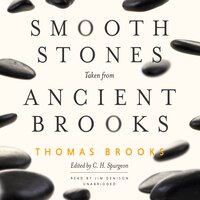 Smooth Stones Taken From Ancient Brooks