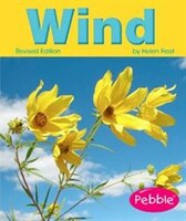 Wind