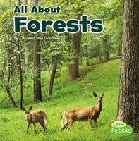 All About Forests