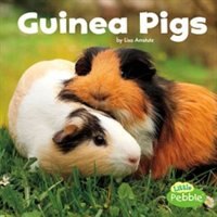 Guinea Pigs