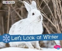 Let's Look at Winter: A 4D Book