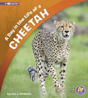 A Day in the Life of a Cheetah: A 4D Book