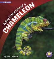A Day in the Life of a Chameleon: A 4D Book