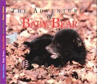 Adventures of Baby Bear