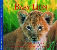 Baby Lion