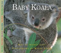 Baby Koala