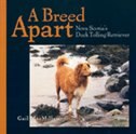 A Breed Apart: Nova Scotia Duck Tolling Retriever