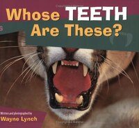 Whose Teeth Are These?