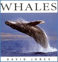 Whales