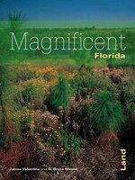Florida's Magnificent Land (Florida Magnificent Wilderness)