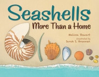 Seashells: More Than A Home