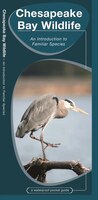 Chesapeake Bay Wildlife: An Introduction To Familiar Species