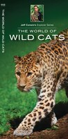 The World Of Wild Cats