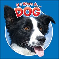 IF I WERE A DOG