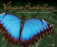 Vibrant Butterflies: Our Favorite Visitors To Flowers And Gardens