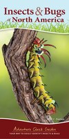 Insects & Bugs Of North America: Your Way To Easily Identify Insects & Bugs
