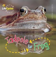 Tadpole to Frog