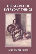 The Secret of Everyday Things (Yesterday's Classics)