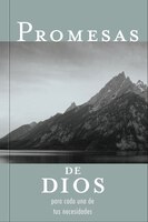 Promesas De Dios Para Cada Una De Tus Necesidades