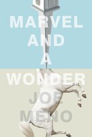 Marvel and a Wonder