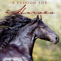 A Passion for Horses