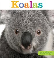 Seedlings: Koalas