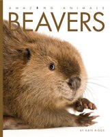 Amazing Animals: Beavers
