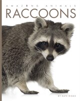 Amazing Animals: Raccoons