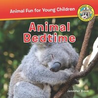 Animal Bedtime: Animal Bedtime