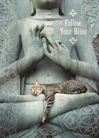Blissful Cat