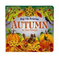 Autumn In The Forest
