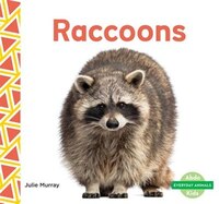 Raccoons