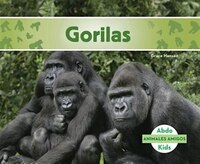 Gorilas (gorillas)