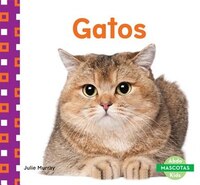 Gatos (Cats) (Mascotas (Family Pets)) (Spanish Edition)