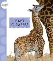 Baby Giraffes