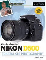 David Busch's Nikon D500 Guide To Digital Slr Photography