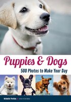 Dogs: 500 Pooch Portraits To Brighten Your Day