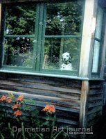 Dalmatian Cabin Creative Blank Mega  Coloring Book Journal Sir Michael Huhn