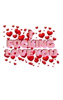 Valentine's I  Fucking Love You Creative Blank  Journal