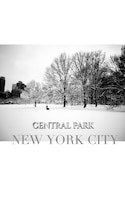 Central Park New York City Winter Wonderland Blank Journal