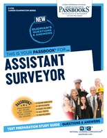 Assistant Surveyor