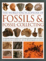 The World Encyclopedia Of Fossils & Fossil-collecting:: An Illustrated Reference Guide To Over 375 Plant And Animal Fossils From A