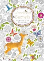 WOODLAND SECRETS ADVS IN INK & IM: Adventures In Ink And Imagination