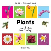 My First Bilingual Book-plants (english-urdu)